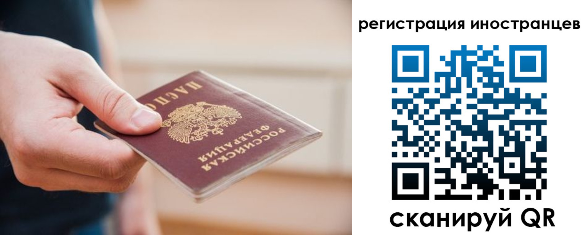 прописка гарантия в Красном Сулине
